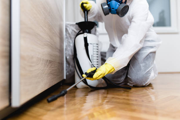 Trusted Forest Oaks, NC Pest Control Experts