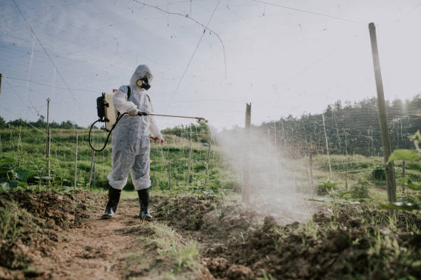 Best Ant Control Services  in Forest Oaks, NC