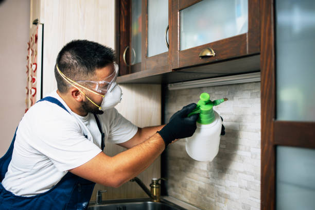 Best Pest Prevention Services  in Forest Oaks, NC