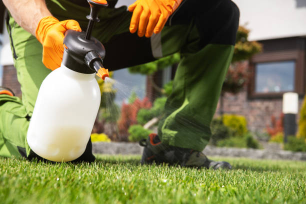 Best Bed Bug Extermination  in Forest Oaks, NC