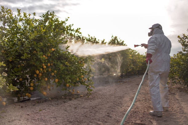 Best Wasp Removal Services  in Forest Oaks, NC