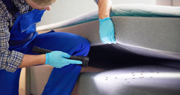 Best Flea Control Services  in Forest Oaks, NC