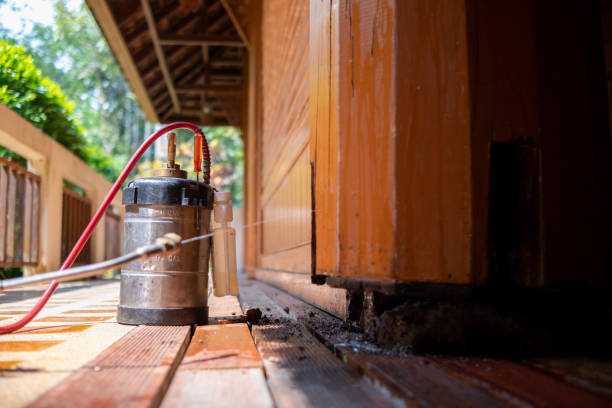 Best Exterminator Services  in Forest Oaks, NC