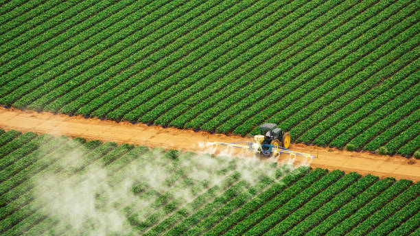 Best Pest Removal Services  in Forest Oaks, NC