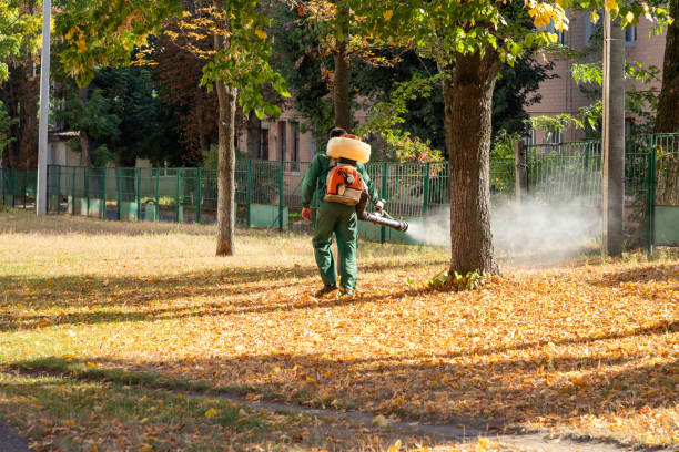 Wasp Removal Services in Forest Oaks, NC