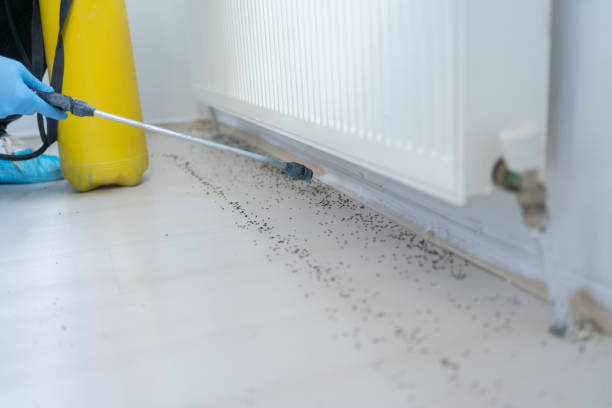 Best Pest Removal Services  in Forest Oaks, NC